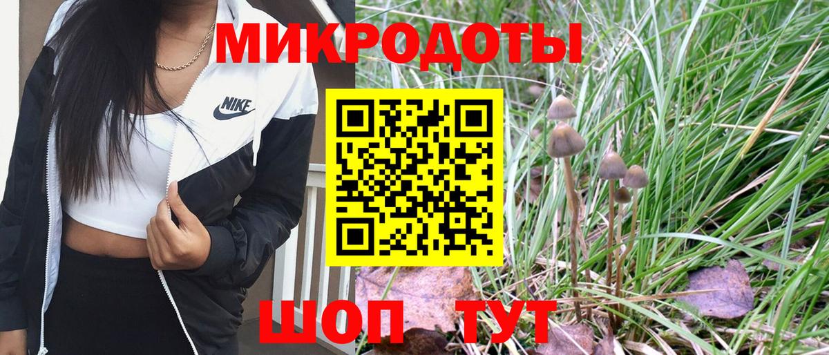 Галлюциногенные грибы Magic Shrooms Электросталь