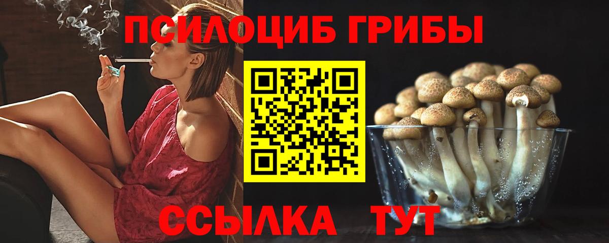 Электросталь  Галлюциногенные грибы MAGIC MUSHROOMS  Вход с VPN 